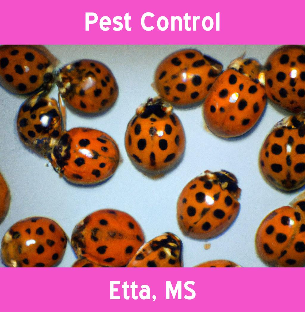 pest control in Etta Mississippi