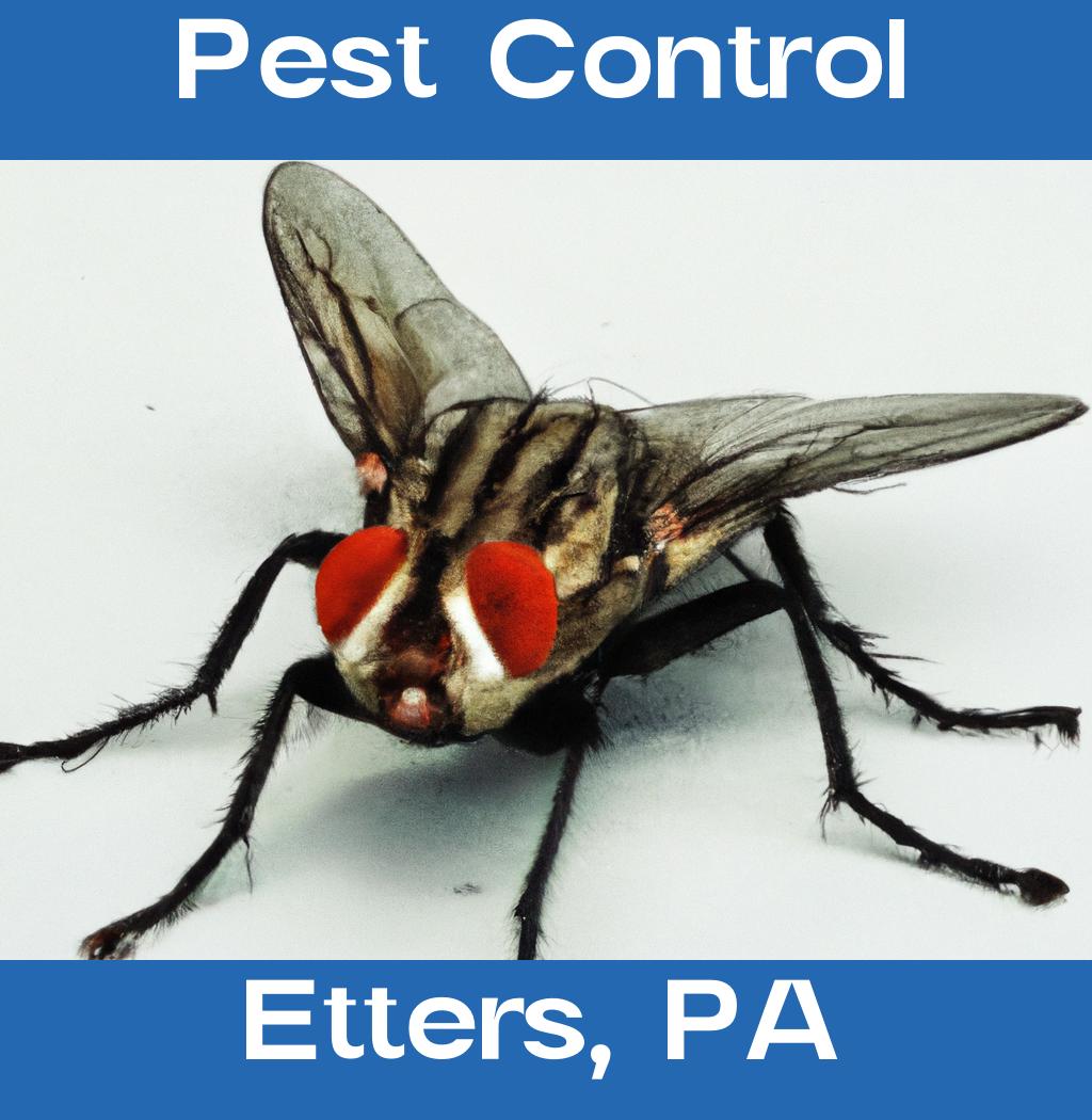 pest control in Etters Pennsylvania