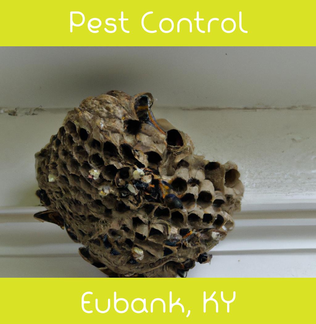 pest control in Eubank Kentucky