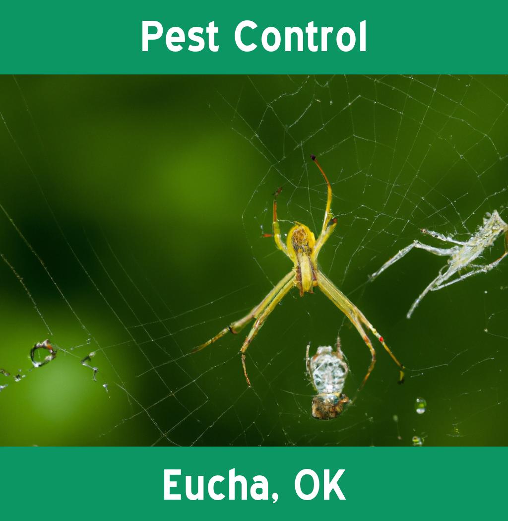 pest control in Eucha Oklahoma