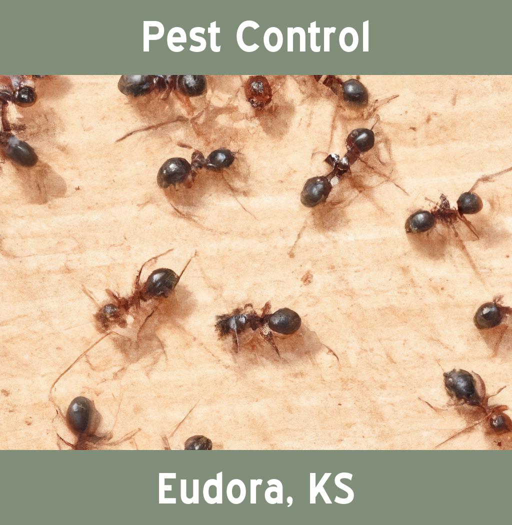 pest control in Eudora Kansas