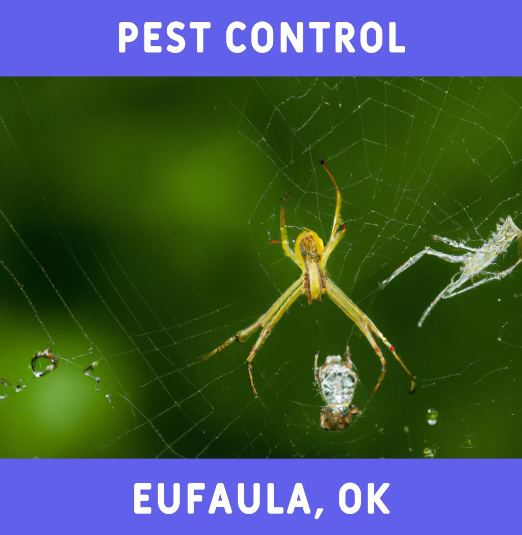 pest control in Eufaula Oklahoma