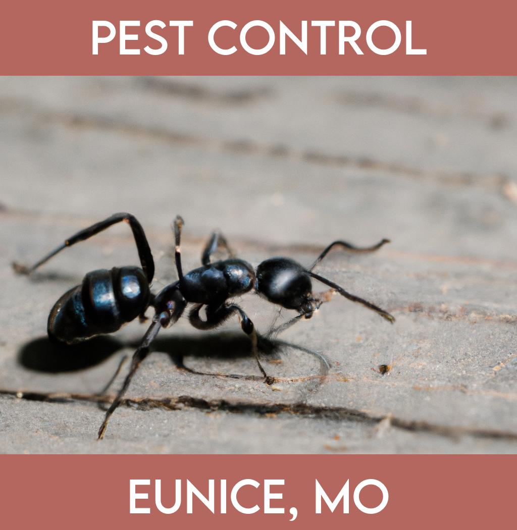 pest control in Eunice Missouri