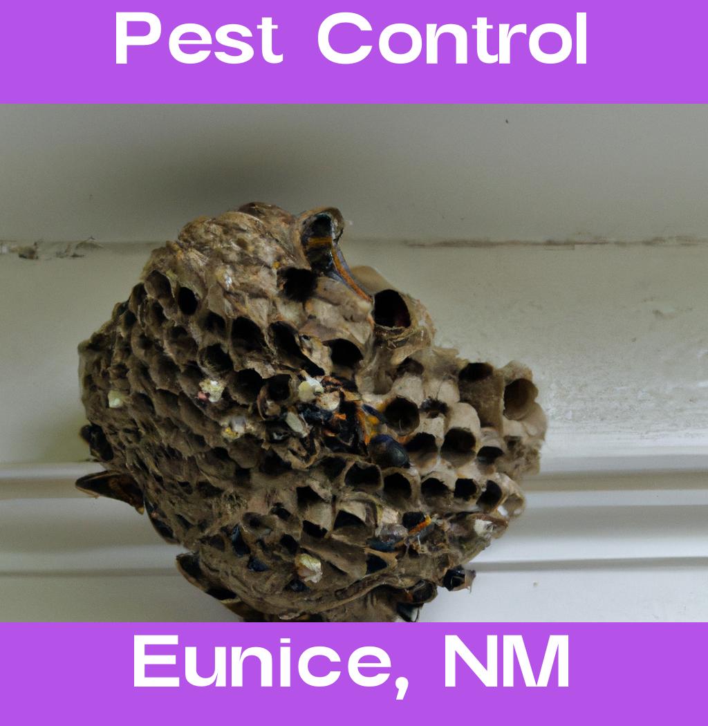pest control in Eunice New Mexico