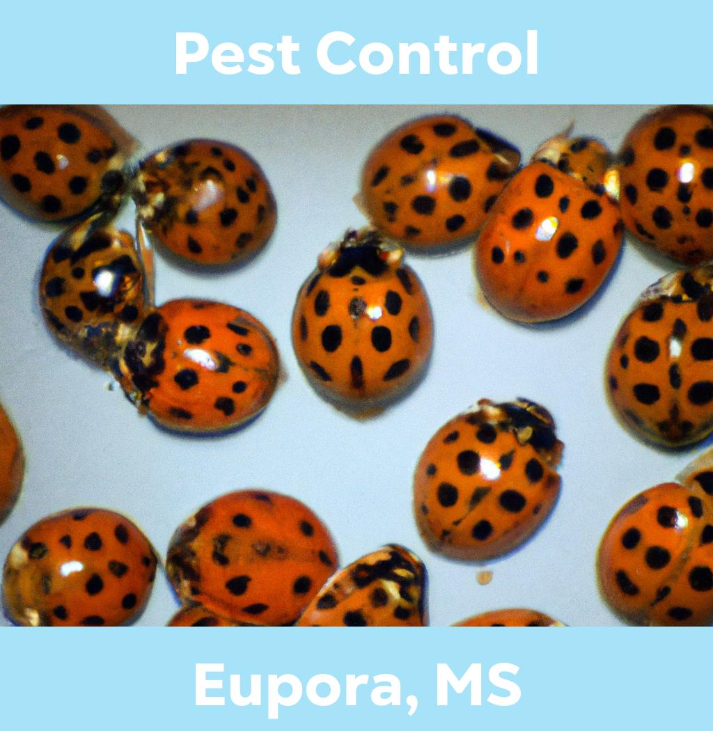 pest control in Eupora Mississippi