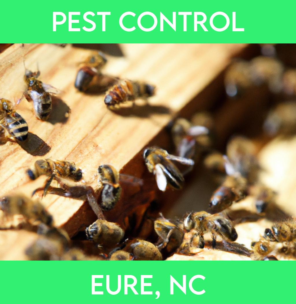 pest control in Eure North Carolina