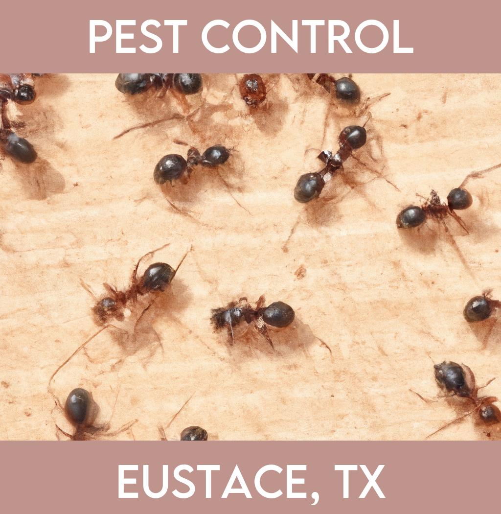 pest control in Eustace Texas