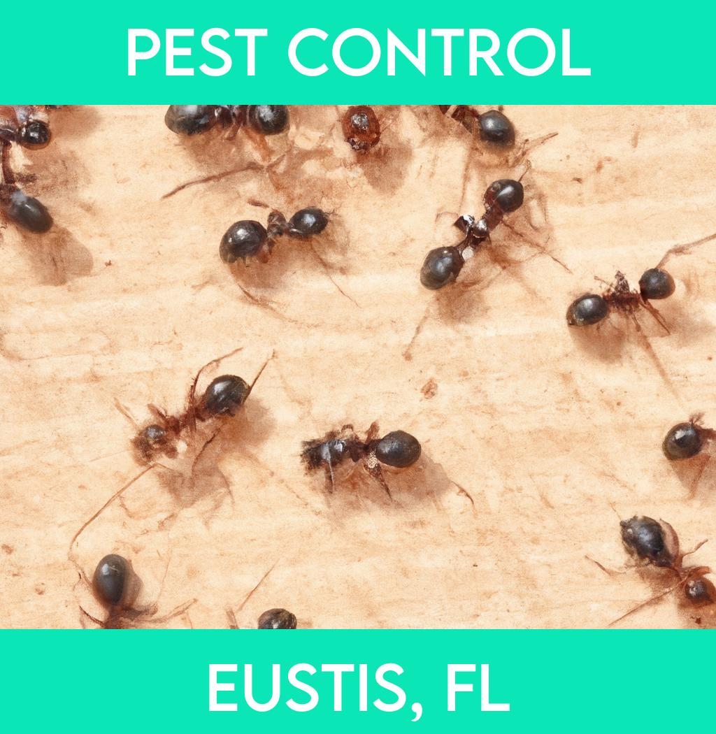 pest control in Eustis Florida