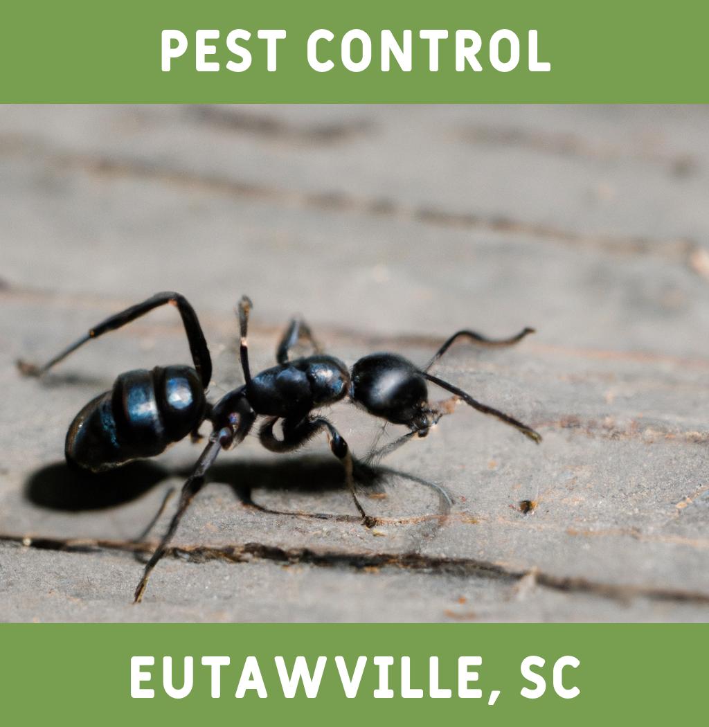 pest control in Eutawville South Carolina