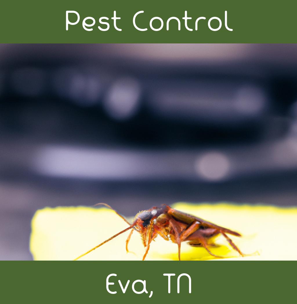 pest control in Eva Tennessee