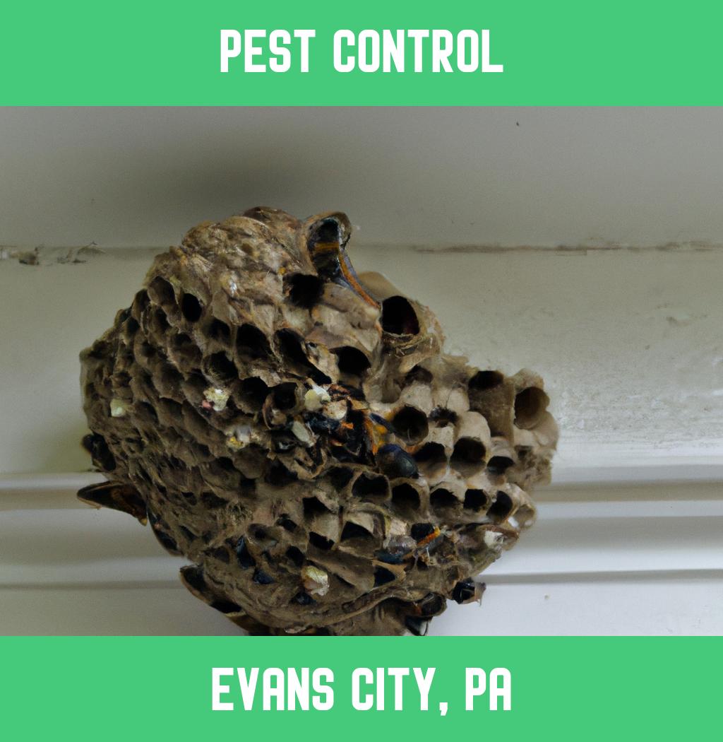 pest control in Evans City Pennsylvania