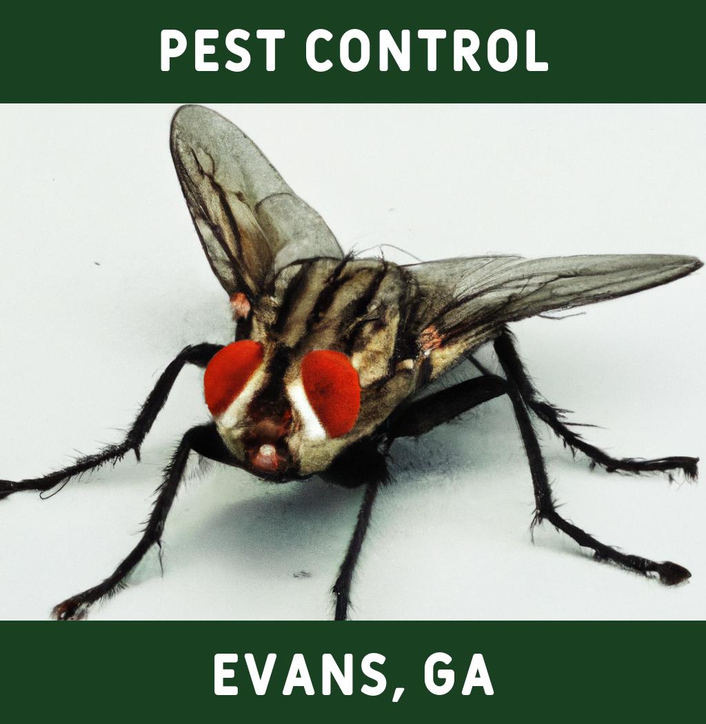 pest control in Evans Georgia