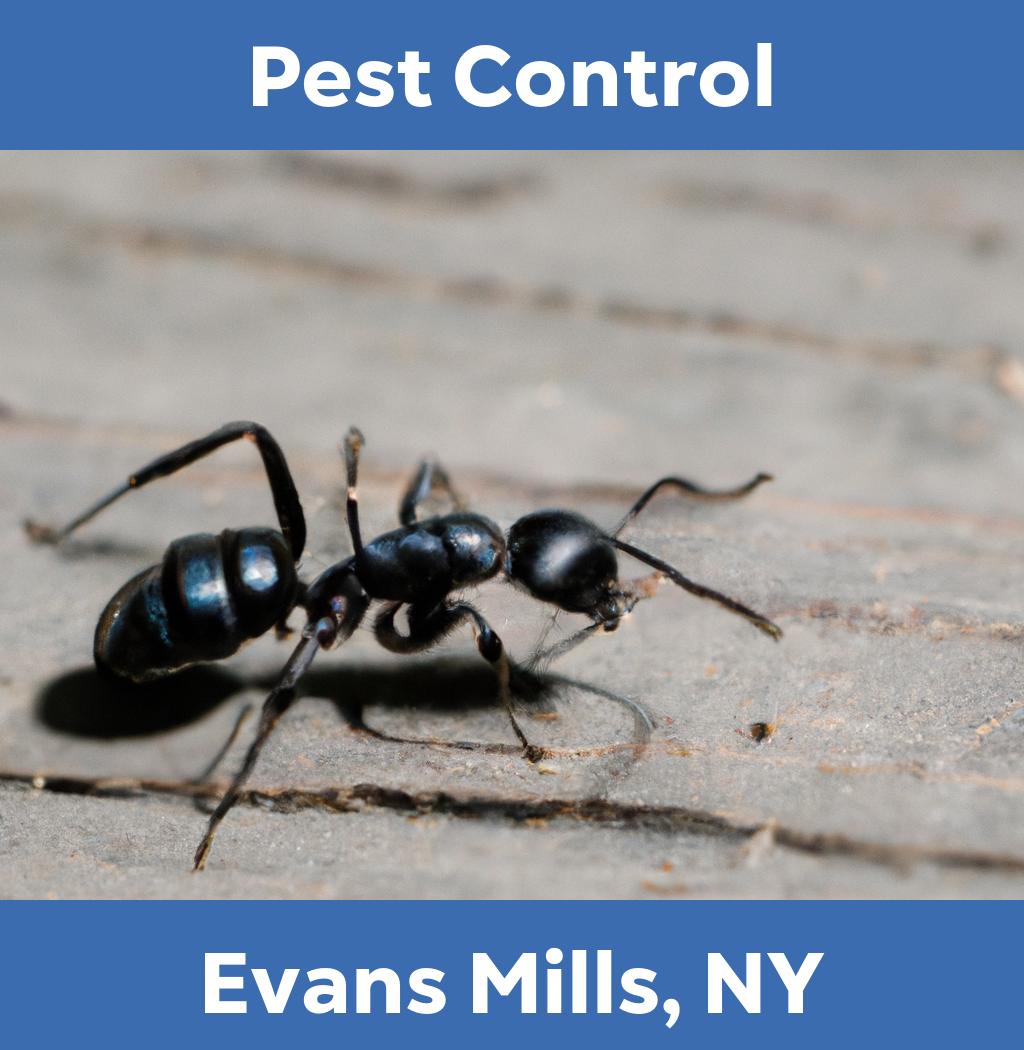 pest control in Evans Mills New York