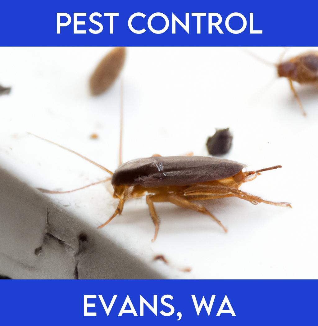 pest control in Evans Washington