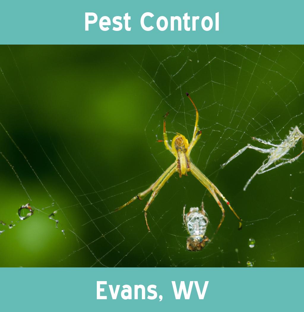pest control in Evans West Virginia