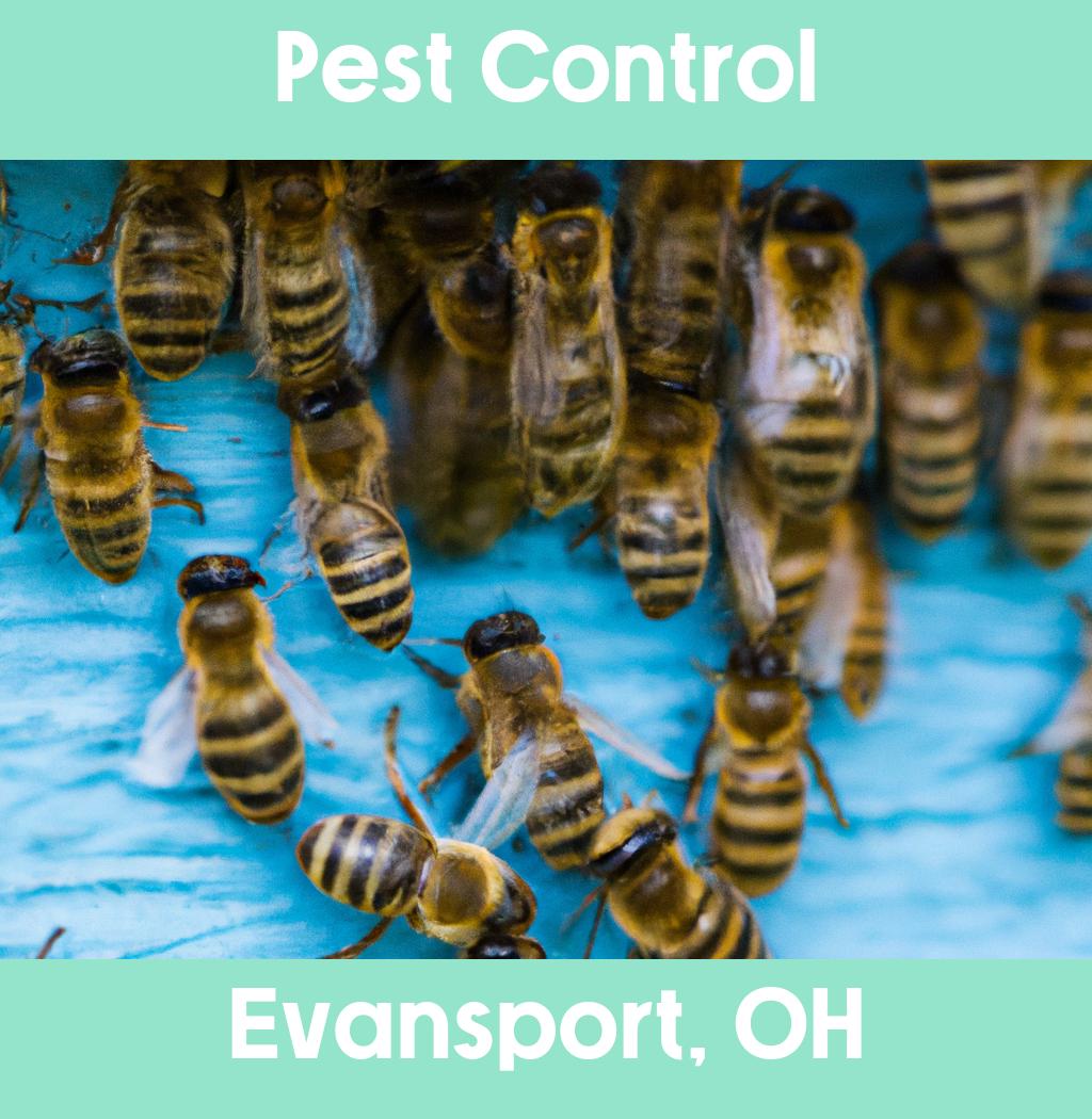pest control in Evansport Ohio