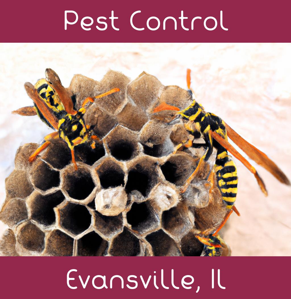 pest control in Evansville Illinois