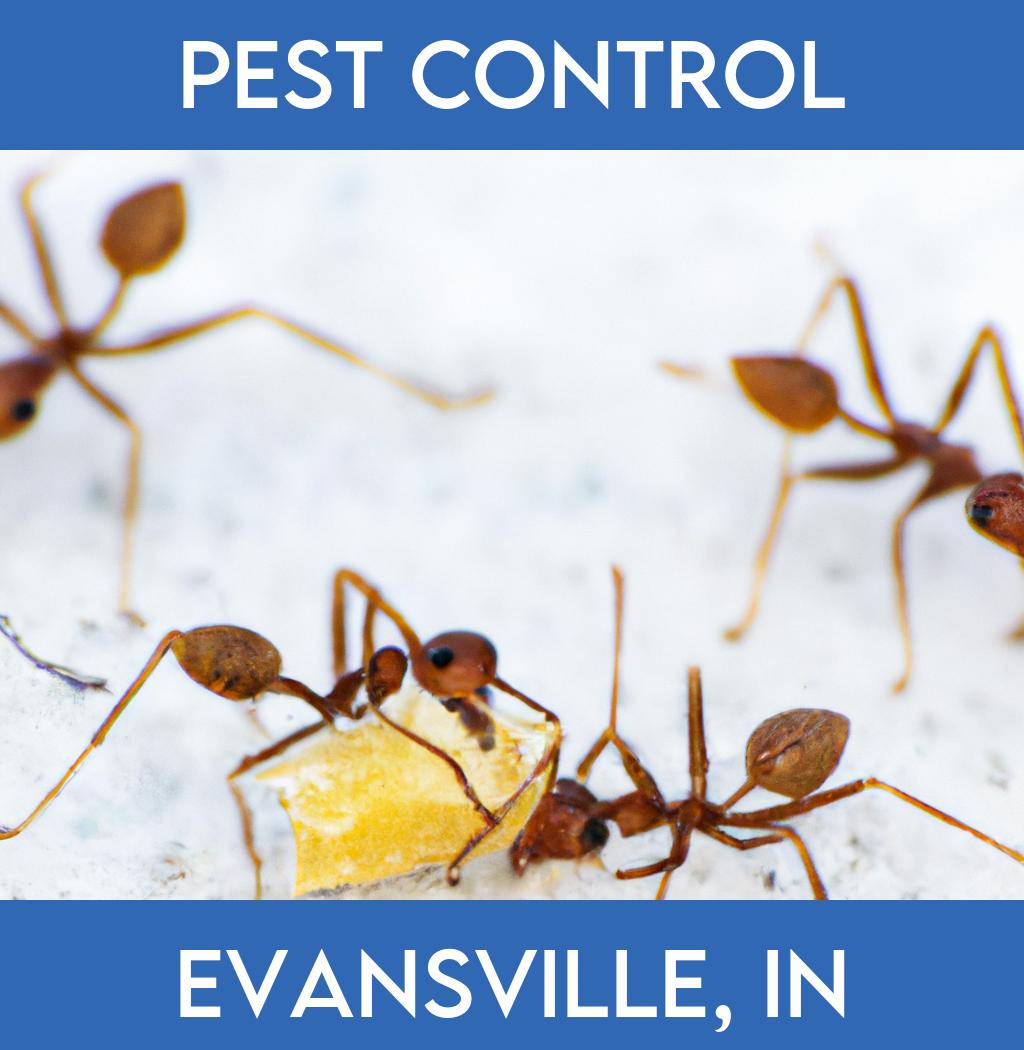 pest control in Evansville Indiana