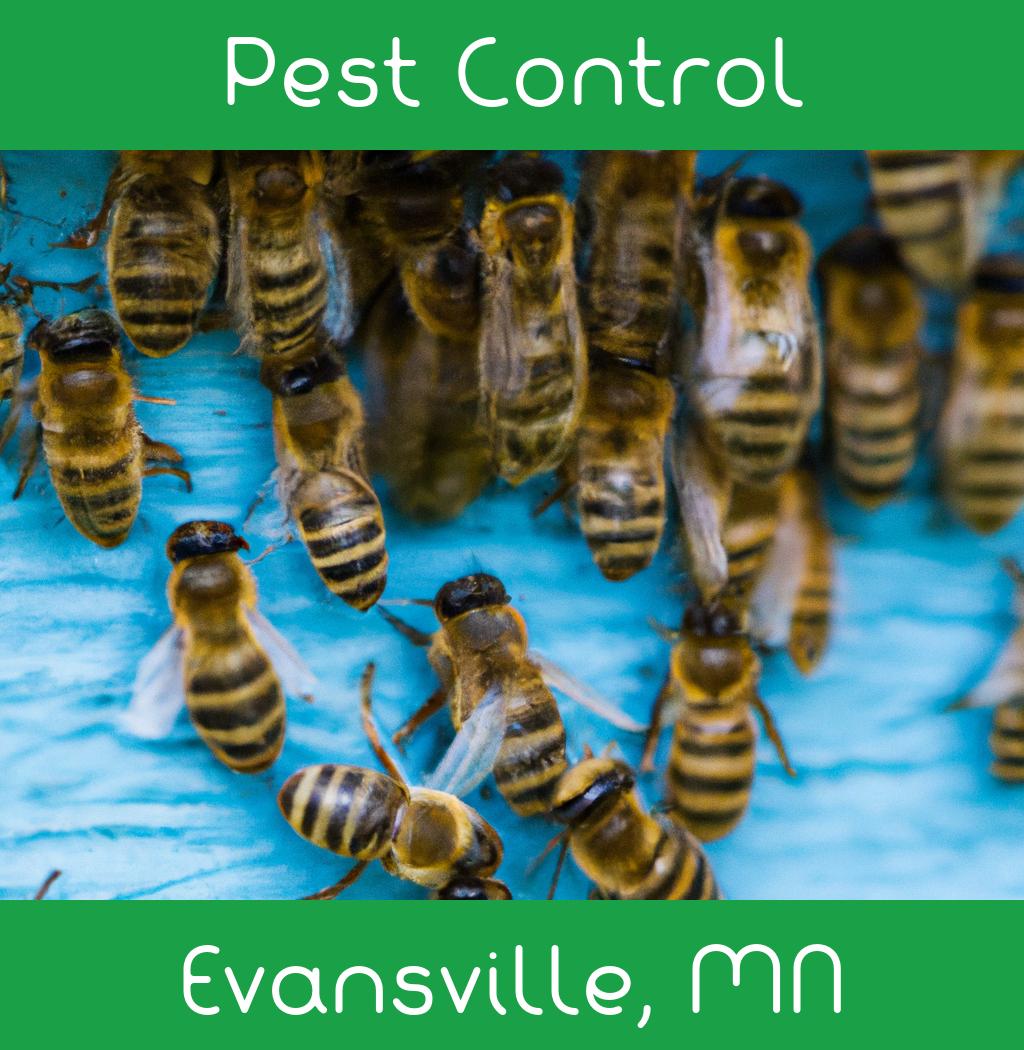 pest control in Evansville Minnesota