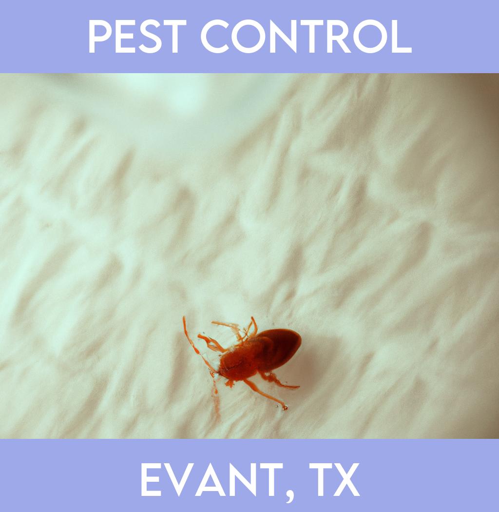 pest control in Evant Texas