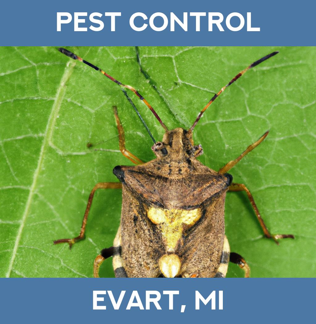 pest control in Evart Michigan