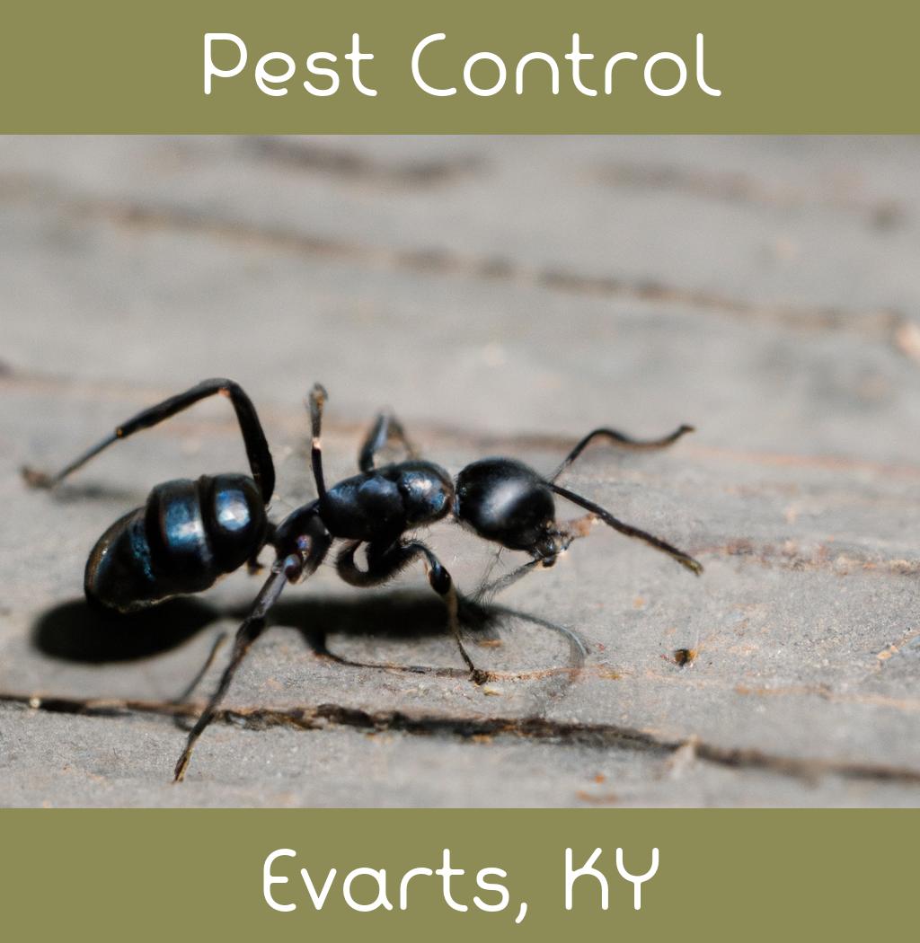 pest control in Evarts Kentucky