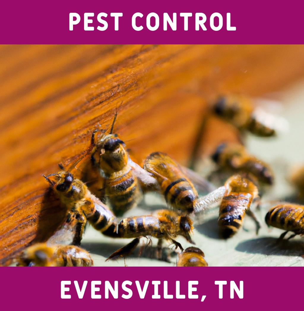 pest control in Evensville Tennessee