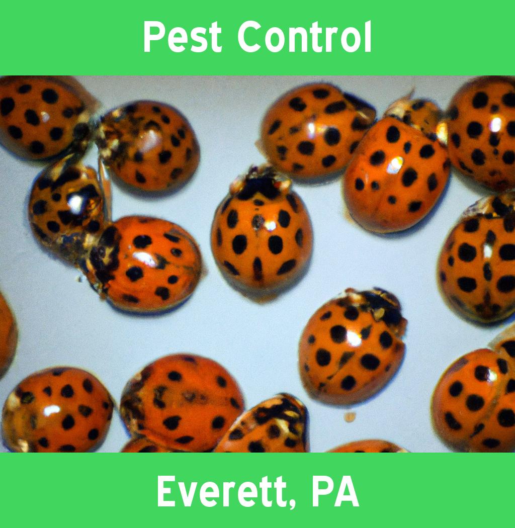 pest control in Everett Pennsylvania