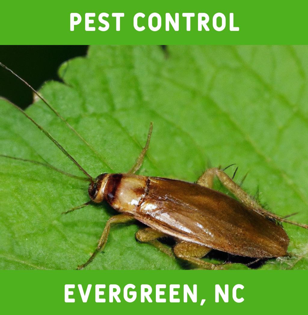 pest control in Evergreen North Carolina