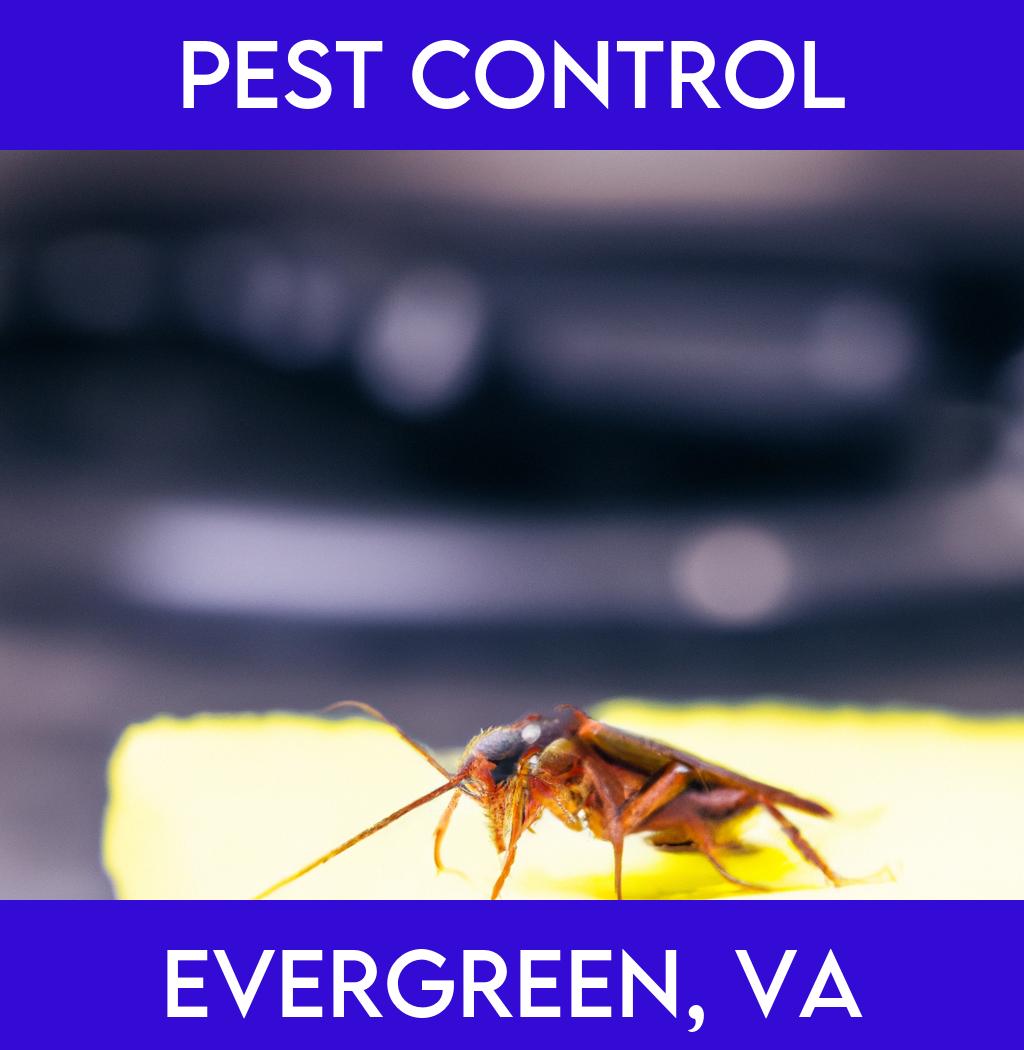 pest control in Evergreen Virginia