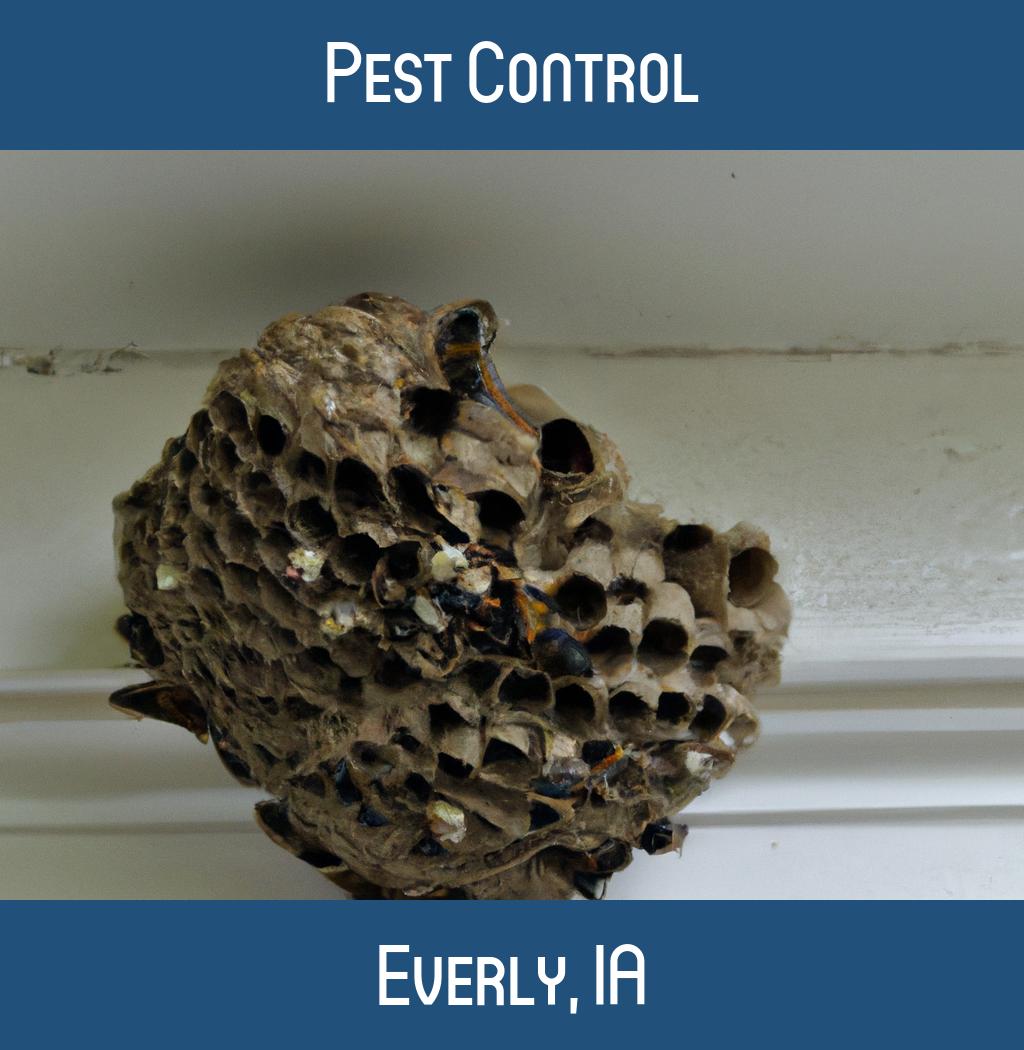 pest control in Everly Iowa