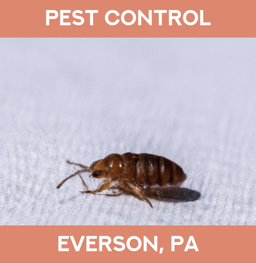 pest control in Everson Pennsylvania
