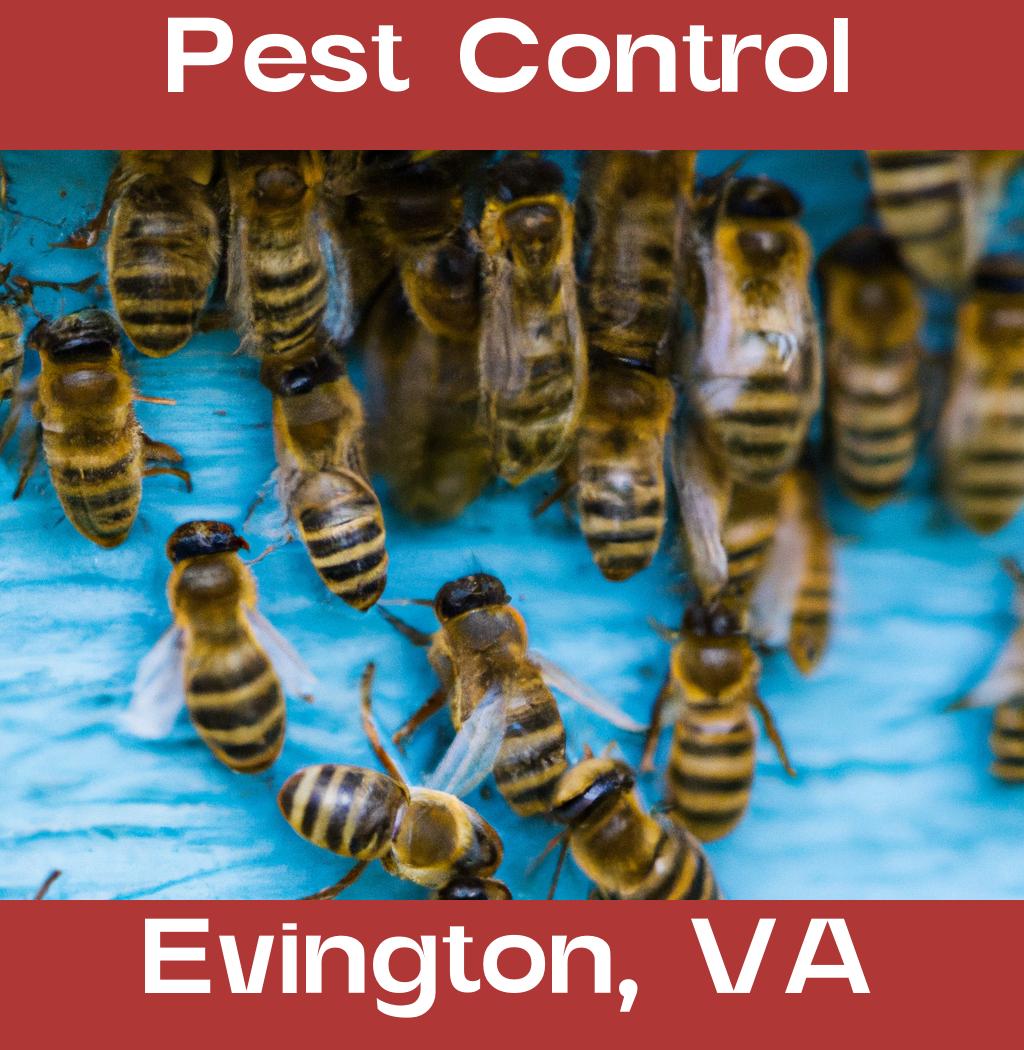 pest control in Evington Virginia