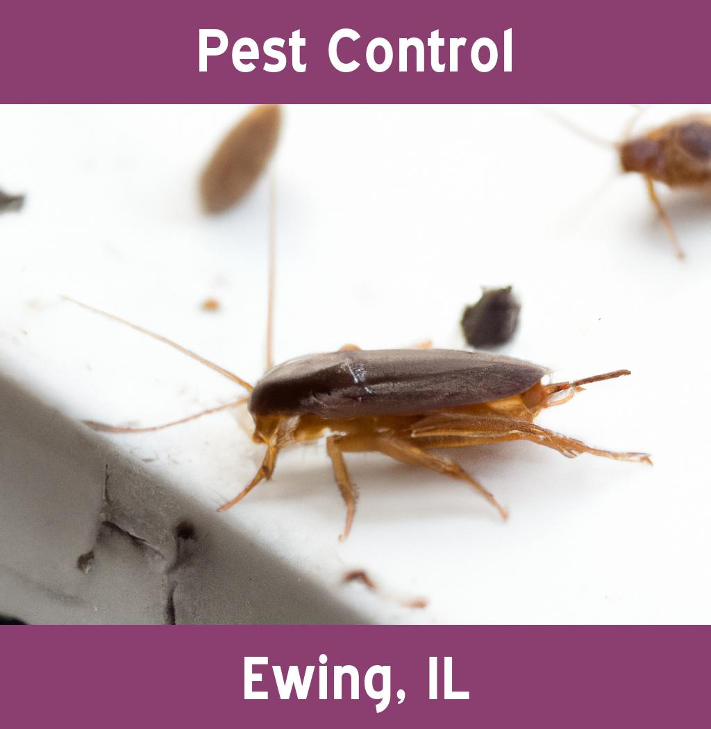 pest control in Ewing Illinois