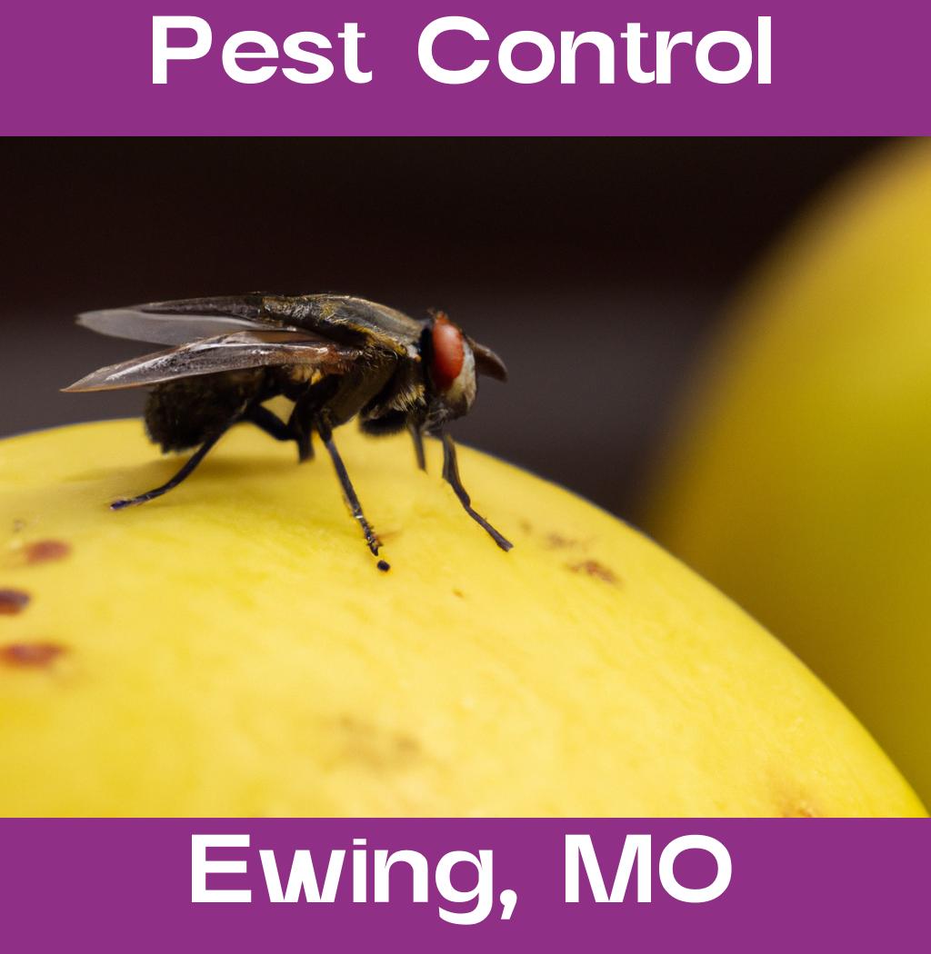 pest control in Ewing Missouri