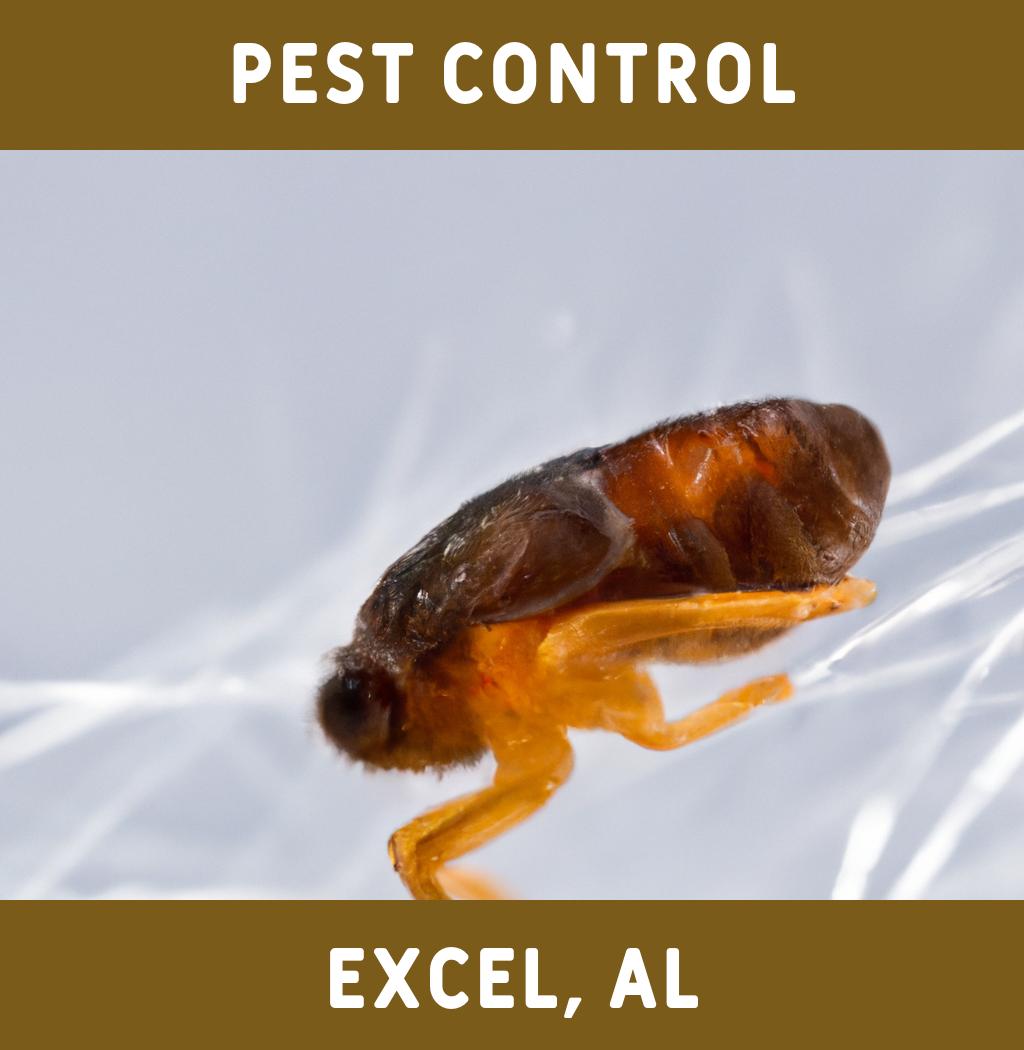 pest control in Excel Alabama