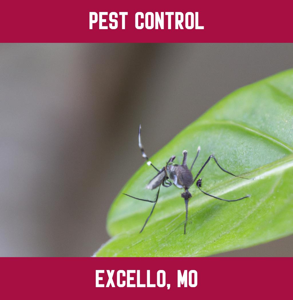 pest control in Excello Missouri