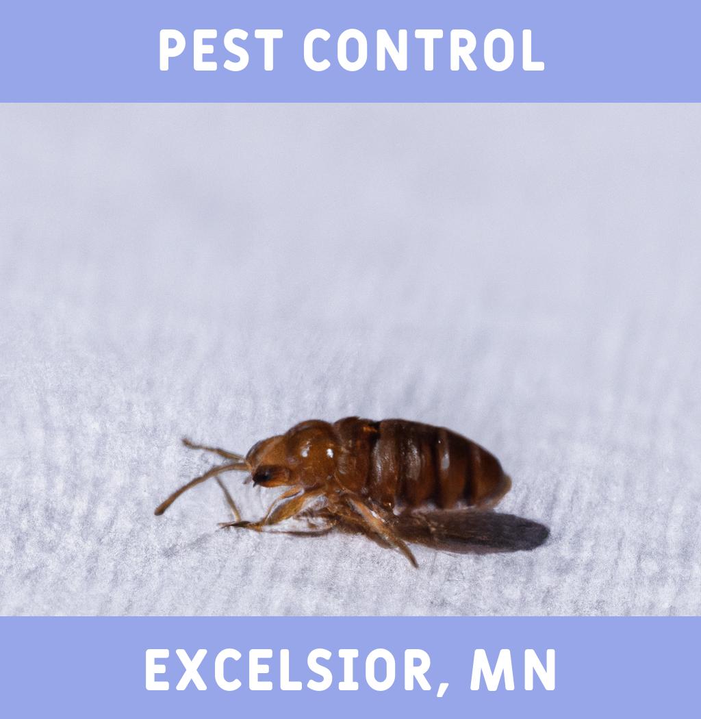 pest control in Excelsior Minnesota