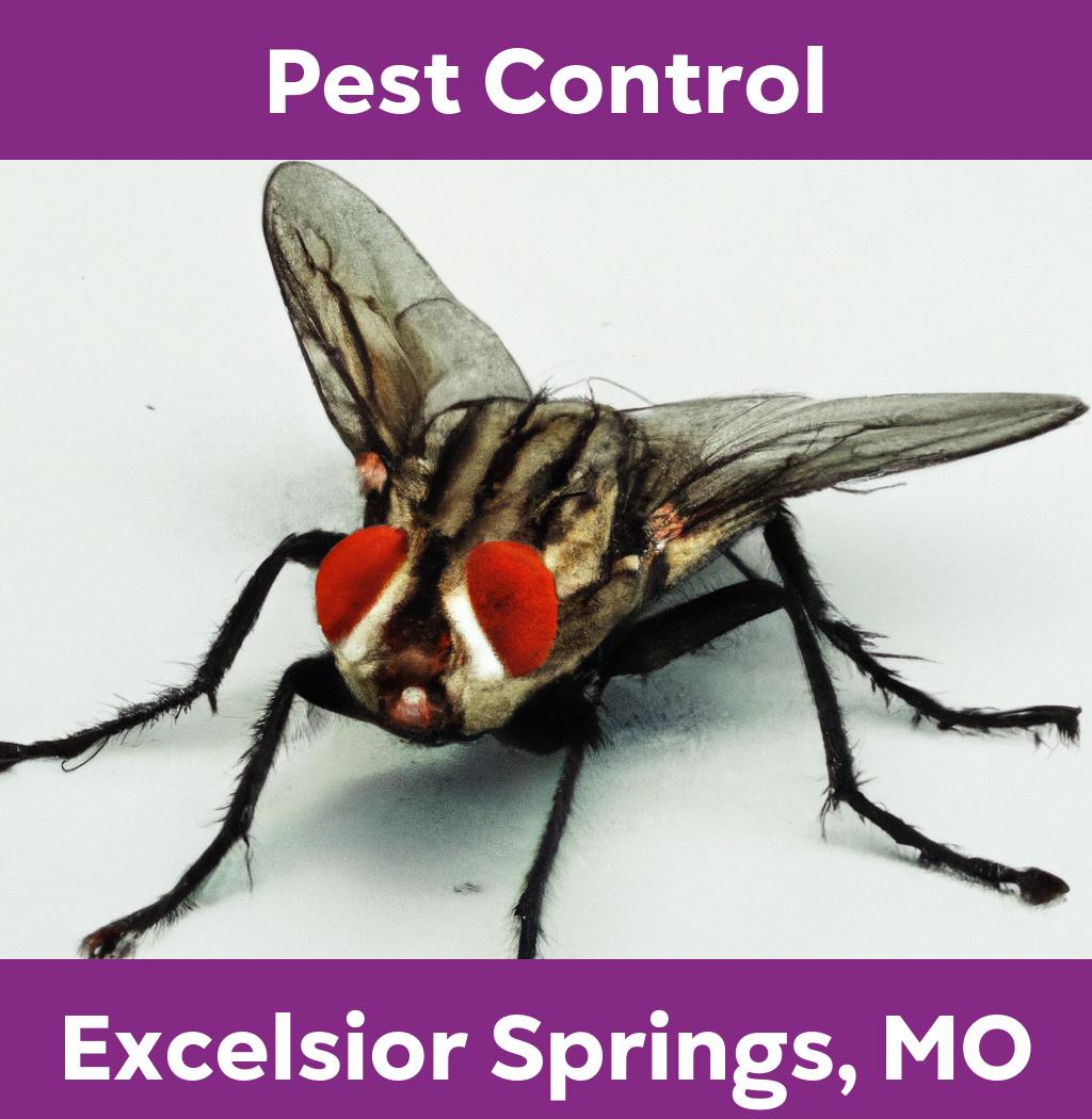 pest control in Excelsior Springs Missouri