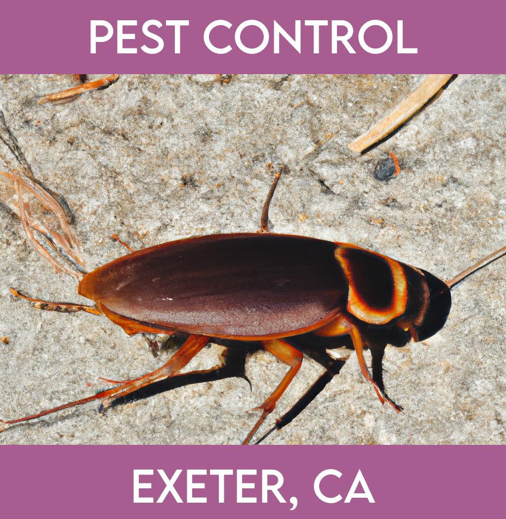 pest control in Exeter California