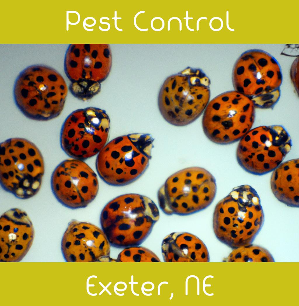 pest control in Exeter Nebraska