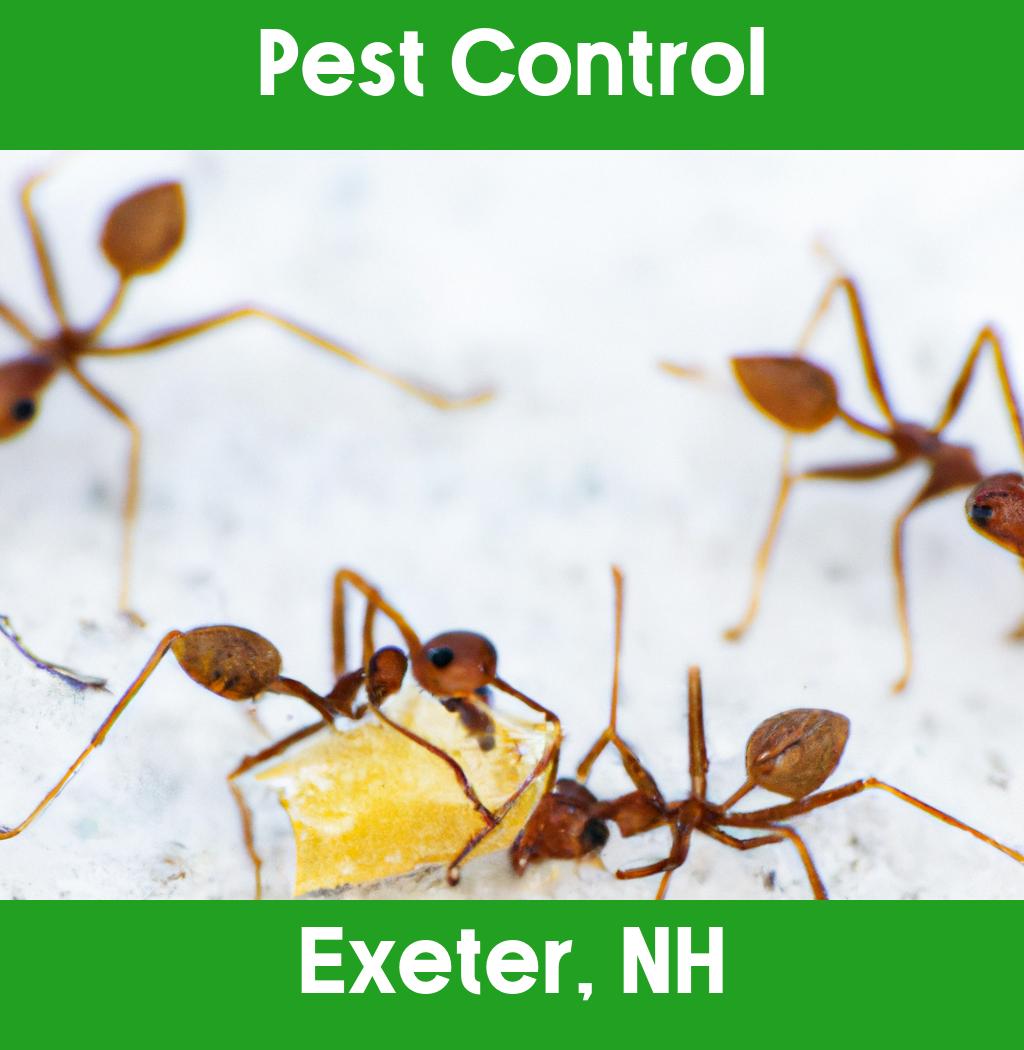 pest control in Exeter New Hampshire