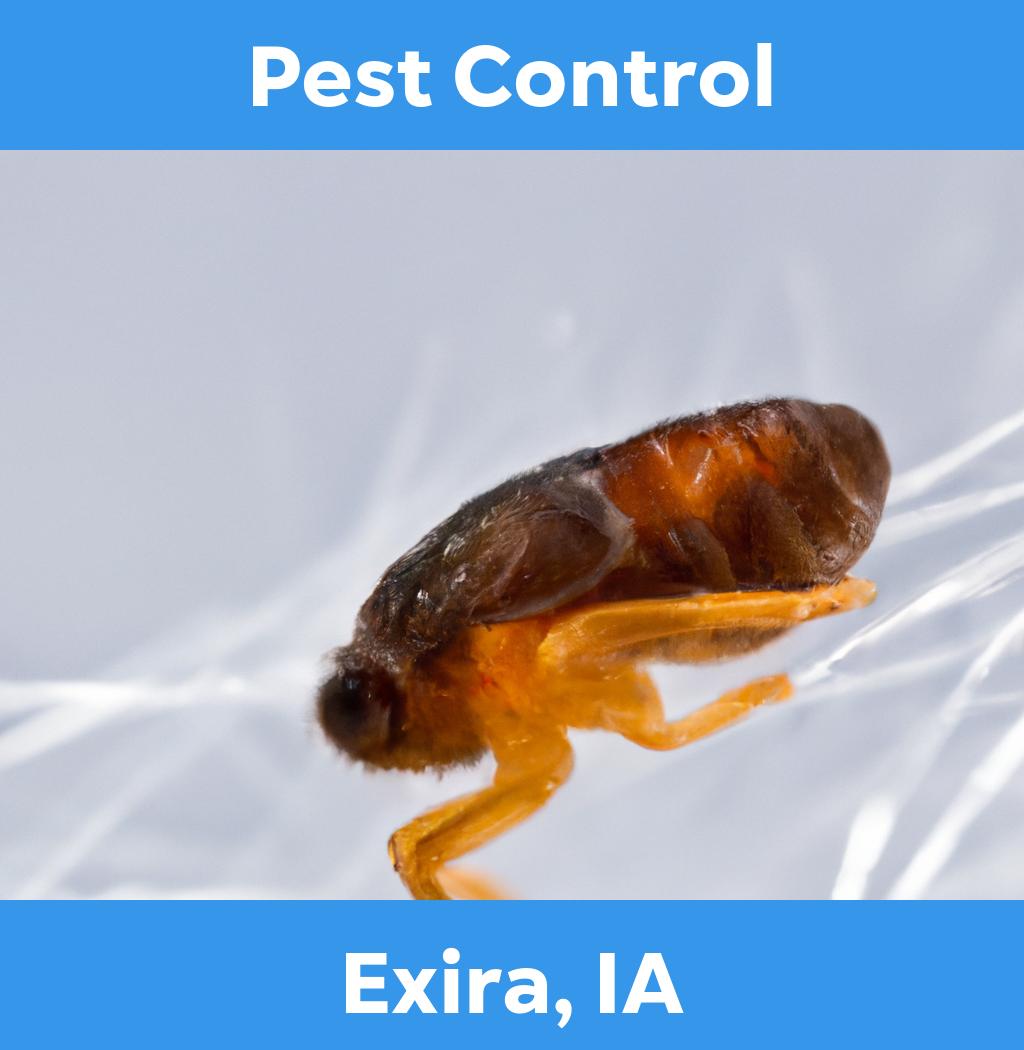 pest control in Exira Iowa