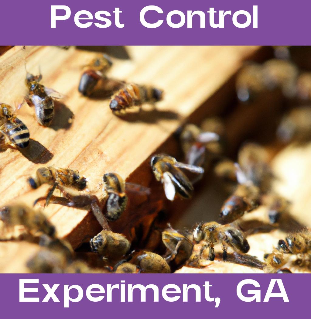 pest control in Experiment Georgia