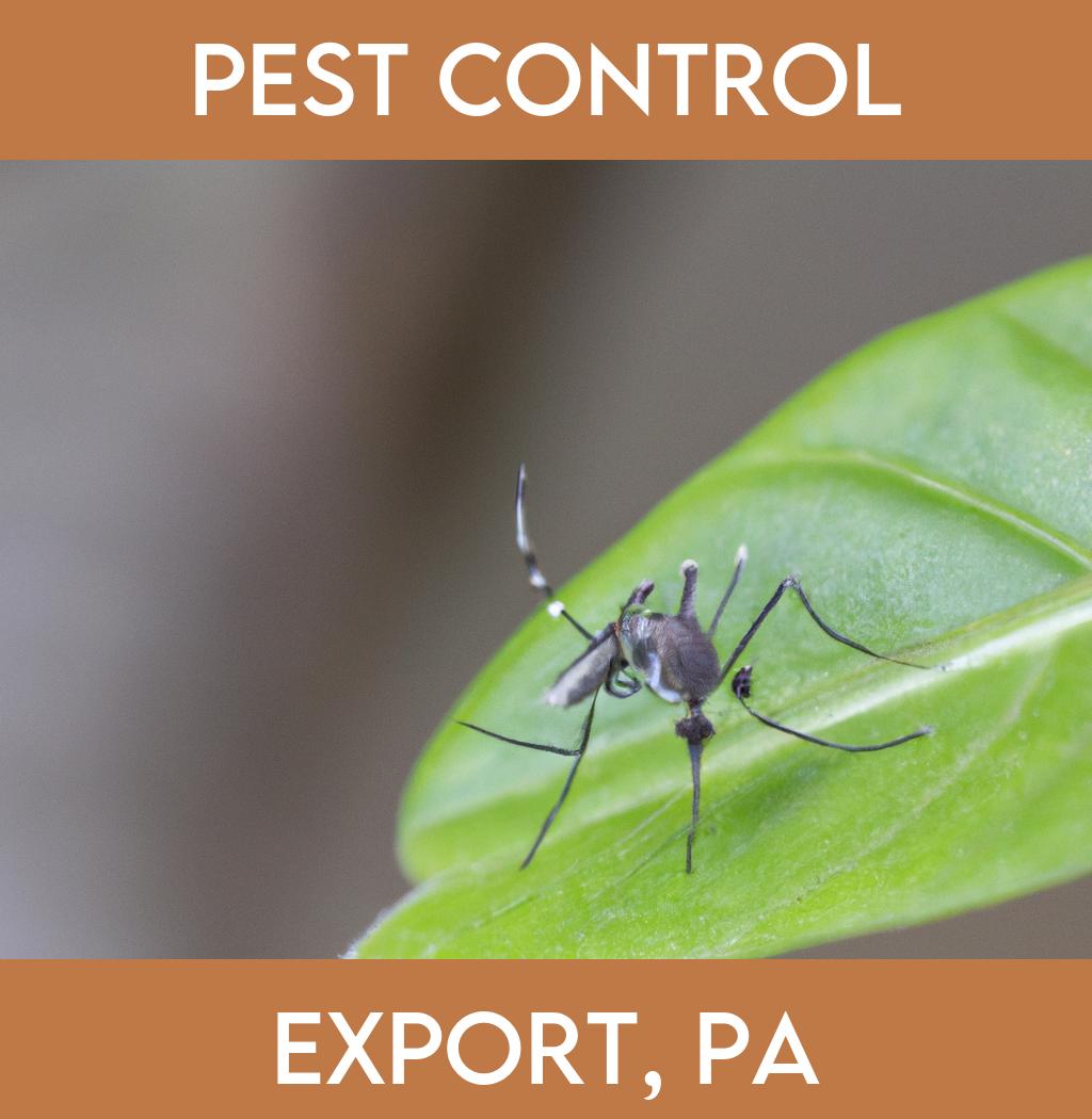 pest control in Export Pennsylvania
