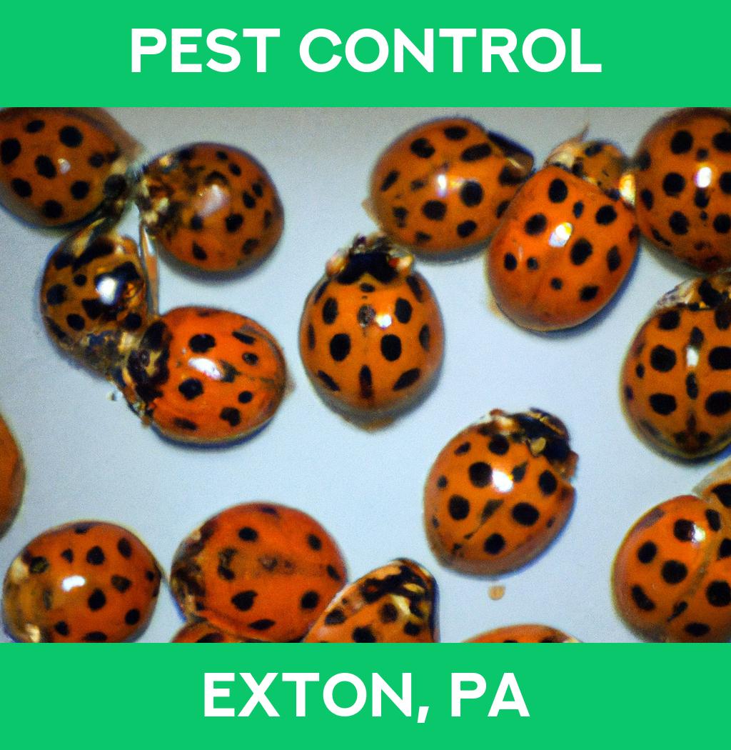 pest control in Exton Pennsylvania