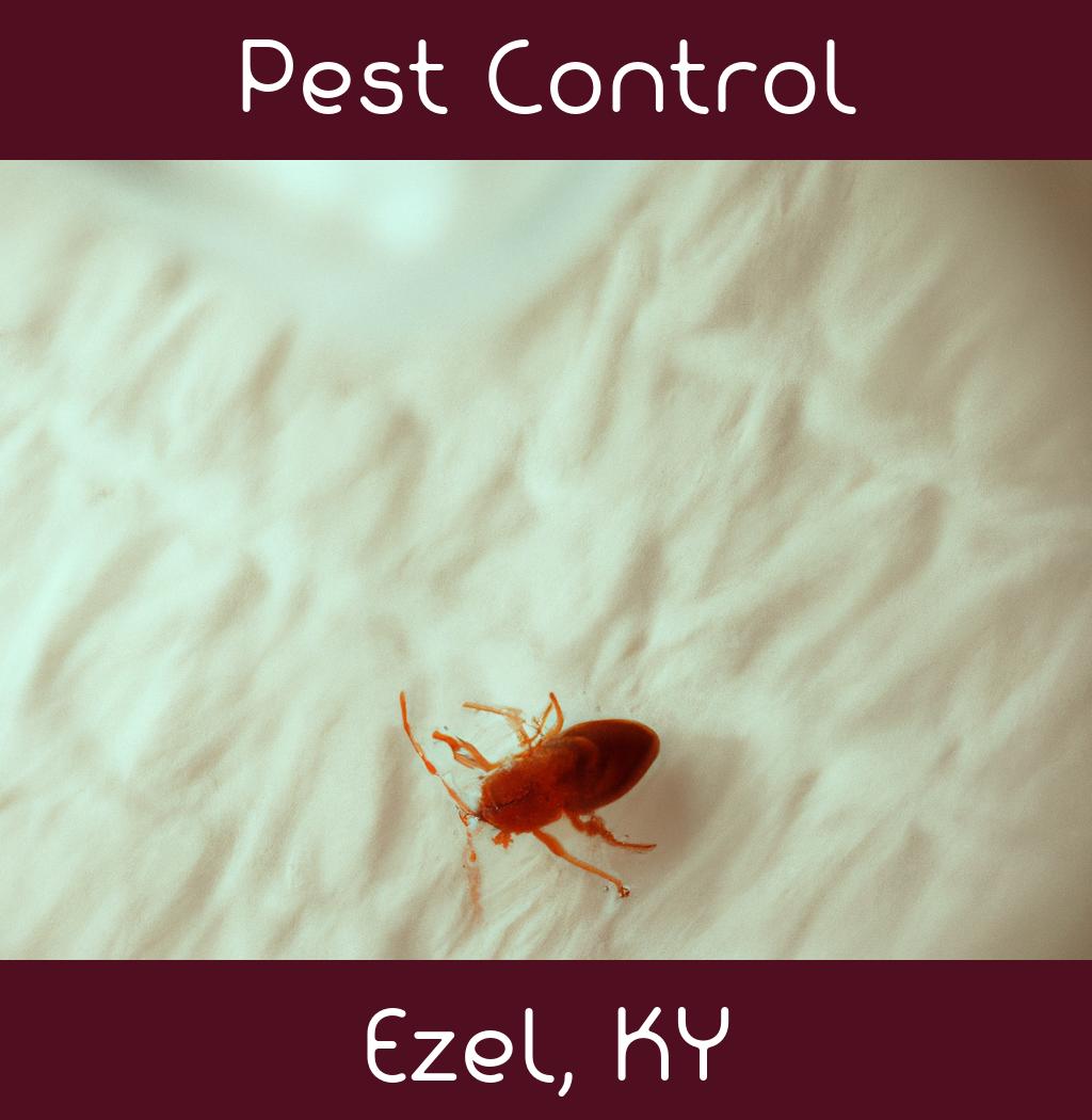 pest control in Ezel Kentucky