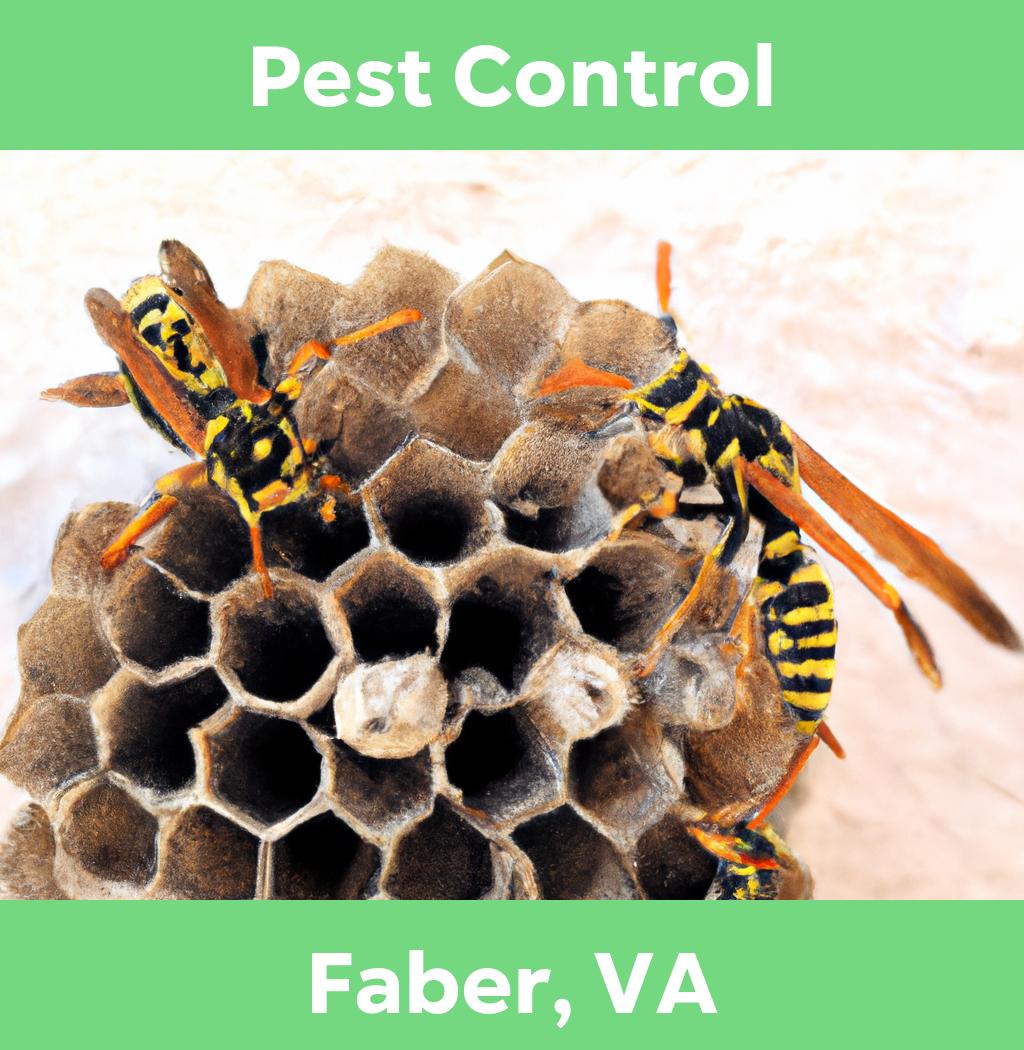 pest control in Faber Virginia