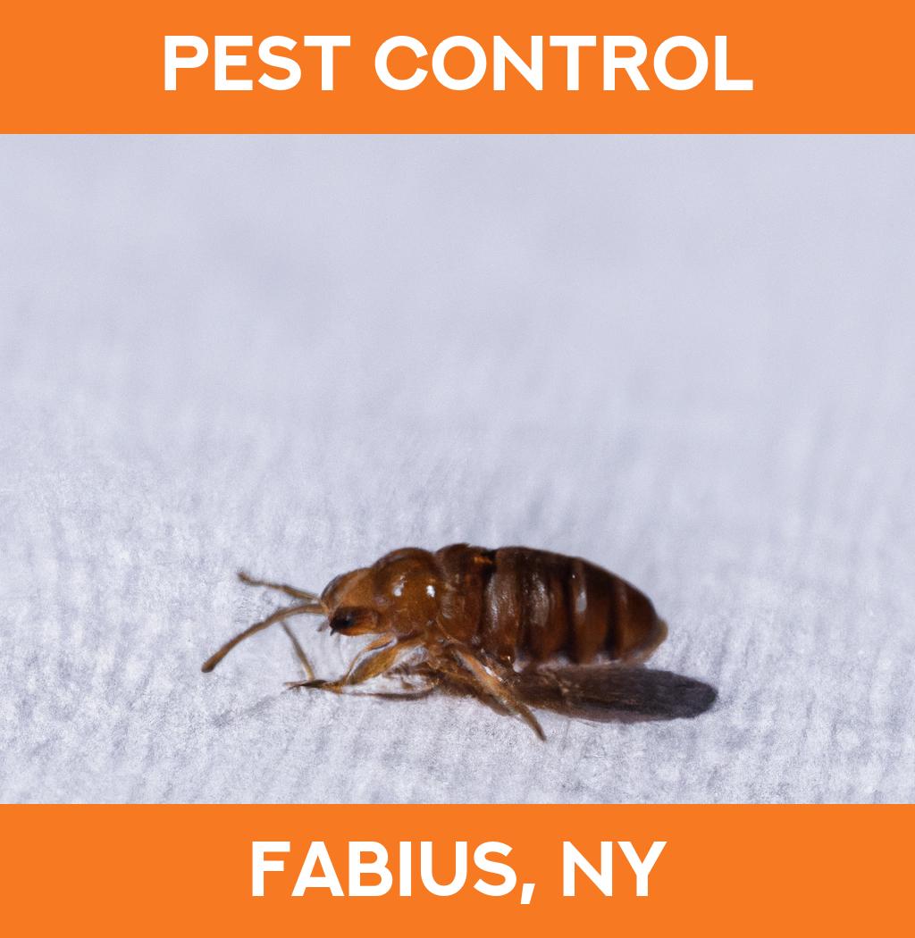 pest control in Fabius New York
