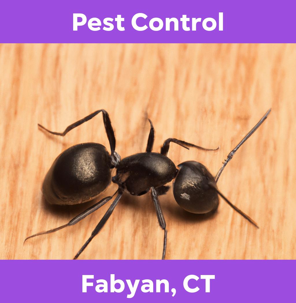 pest control in Fabyan Connecticut